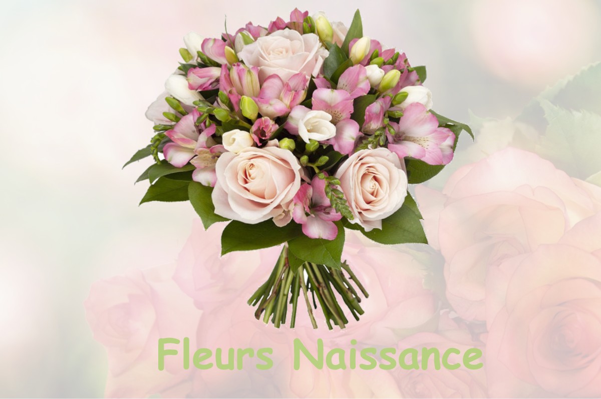 fleurs naissance VAUCONCOURT-NERVEZAIN