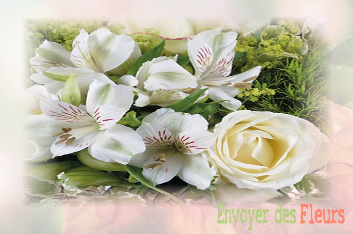 envoyer des fleurs à à VAUCONCOURT-NERVEZAIN